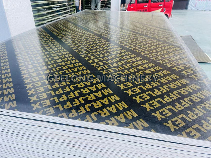 微信图片_20231212165747